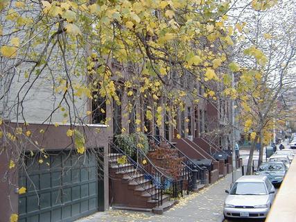 Residential buildings in Brooklyn.  Sadly there was no practical way for me to geotag this<br>Location: Brooklyn City Tour, Brooklyn